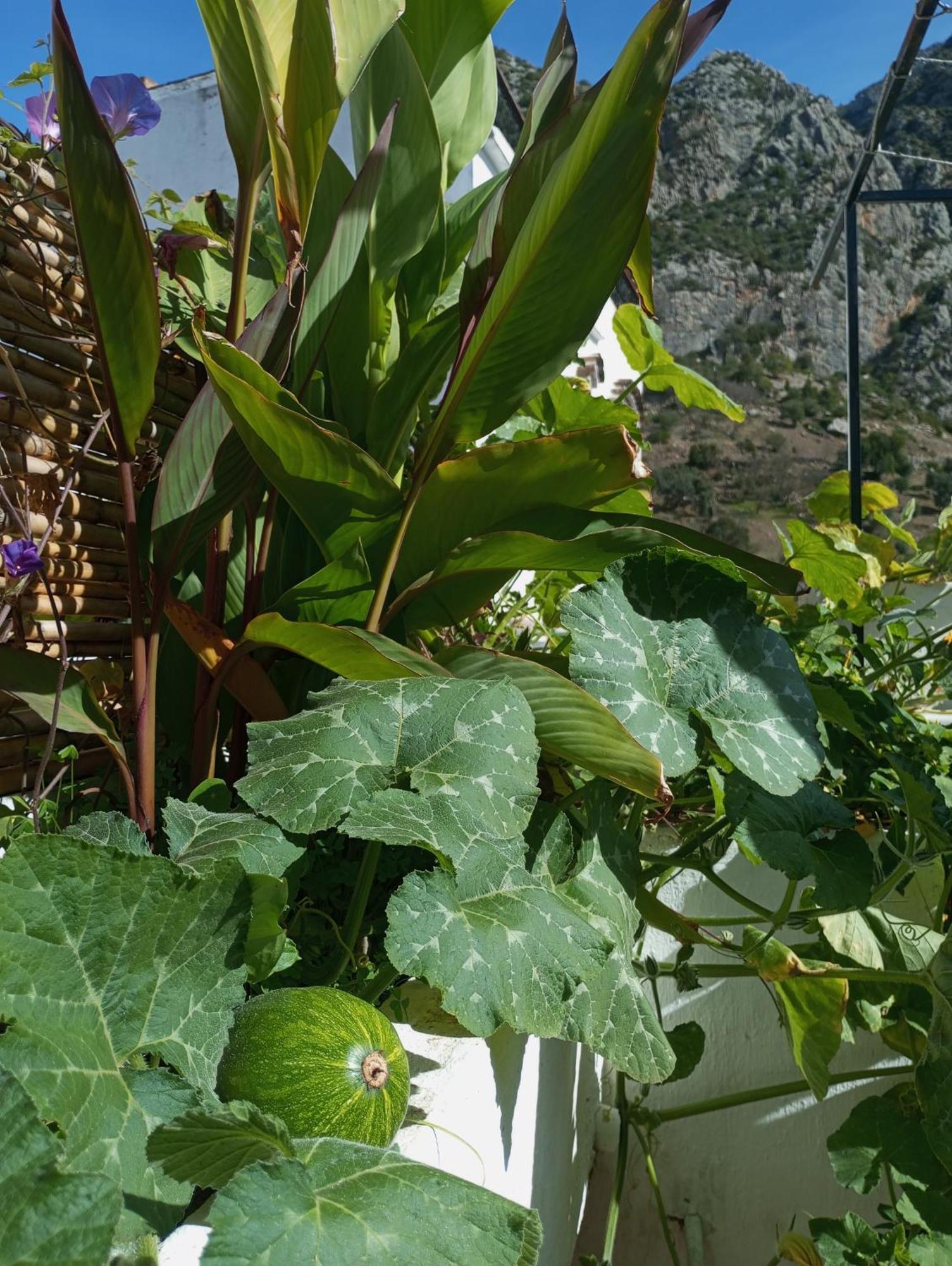 Dar Sbaa Bed & Breakfast Chefchaouen Exterior photo